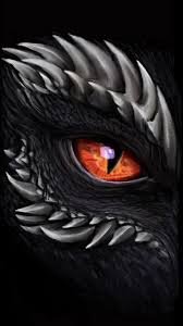 Dragon Eye Dragon Eye Dragon Pictures Dragon Drawing