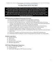 business intelligence consultant resume