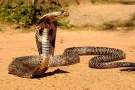 Pin On Otuzgun Com