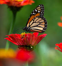 Hd milky way wallpapers 64. Hd Wallpapers Hdwallpapers265 Twitter