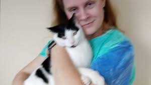 Give a cat a home by adopting from cats protection. Petition Petsmart Stop Banning Healthy Loving Fiv Positive Cats From Adoption Events Change Org