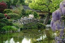 Hakone Garden Saratoga Ca Japanese Garden Japanese Garden Landscape Japanese Garden Design