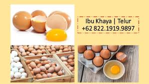 Check spelling or type a new query. Wa 62 811 1701 007 Distributor Telur Ayam Omega Untuk Pabrik Kramat