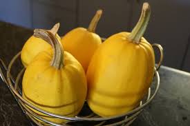 We did not find results for: Growing Spaghetti Squash Planting Care Harvesting Gardening Tips