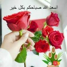 We did not find results for: ØµÙˆØ± Ø¨Ø§Ù‚Ø§Øª ÙˆØ±Ø¯ Ù…ÙƒØªÙˆØ¨ Ø¹Ù„ÙŠÙ‡Ø§ ÙƒÙ„Ø§Ù… Ø¬Ù…ÙŠÙ„ 2021 Rose Floral Rings Rose Bouquet