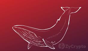Visa and mastercard provided services to crypto 1. Data Shows Mammoth Whale Activity On Coinbase And Gemini Right Before Bitcoin Dipped Zycrypto
