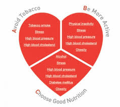 Dan abraham healthy living center (dahlc) serves all mayo clinic employees, program students,. The Facts On Heart Disease Mayo Clinic Book Health Secrets Of A Superager