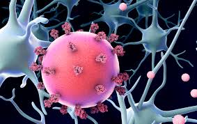 <p>NEXT PAGE:</p>
<p>On the next page learn and study the Action and Usage of the herb, What are the warnings which, you have to be aware of in using this herbs in humans. How to Prepare, use and dosage of the herb when to be used in human body:</p>
<p>ONE TIME DONATION OF £ to receive a passcode to access the next page for life </p>
<p><br></p>