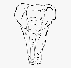 Elephant png symbol animal background cartoon icon cute decoration element lovely adorable decorative sweet ornament sketch colorful baby decor drawing elephant png free vector we have about (61,562 files) free vector in ai, eps, cdr, svg vector illustration graphic art design format. Transparent Elephant Head Png Drawing Elephant Face Png Download Kindpng