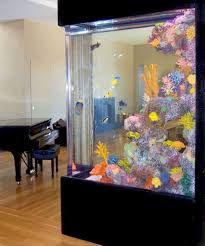 Creative Wall Auarium Designs For Home Decoration And Amazing Room Separator Part 14 Fish Tank Design Aquarium Design Saltwater Fish Tanks