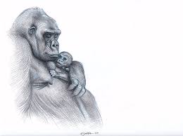 Desk pencil holders are a great way to keep all of your pens, pencils, erasers, and other writing these pencil holders can be used in any type of space with three different sizes and can hold up to. Art Collectibles Drawing Illustration Gorilla And The Baby Pencil Drawing On Canvas
