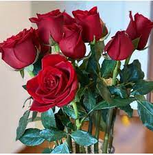 Long Stem Roses Bulk Roses Wholesale Flowers Flowers Online