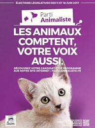 La naissance du parti animaliste remonte à presque trois ans, en 2016. Le Parti Au Chaton Parti Animaliste Politique Discussions Forum Hardware Fr