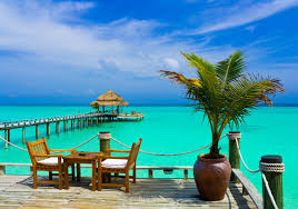 Coral reefs fringe coast providing excellent snorkeling and scuba diving.along the east coast a lively surf is blown briskly by the strong and constant trade winds and the waves pound against a rocky shore. Barbados Hotels Trailfinders