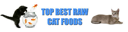 Boost your cat's health and vitality with 100% raw and natural cat food. Top Best Raw Cat Food Brands Holistic And Organix Pet Shoppe