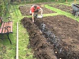 Generally, 2 to 6 weeks is an acceptable amount of time between the two procedures. How To Plant Potatoes Youtube