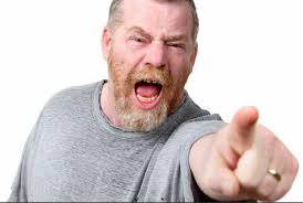 Scottish Authorities Food Enforcement Rebuild (SAFER)