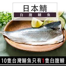 季節限定台灣白腹鯖魚24 26尾 箱 鮮綠生活 serving bowls tableware 10 things