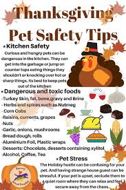 We did not find results for: Feeding Your Pet At Thanksgiving House With A Heart