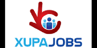 Finance manager (ngo) nairobi, kenya. Jobs In Kenya