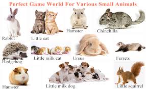 We can't wait to meet you. Breathable Transparent Pet Playpen Pop Open Outdoor Indoor Exercise Fence Portable Yard Fence For Guinea Pig Rabbits Hamster Chinchillas Hedgehogs Raspbery Small Animals C C Cage Tent Playpens Pet Supplies Silverstone Com Pl