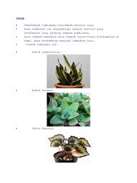 These sentences come from external sources and may not be accurate. Daun Setawar In English