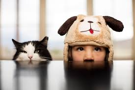 Nuzzles & Co. Alumni!