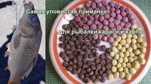 samaya ulovistaya primanka dlya rybalki karasya i karpa bojly v domashnih us korm dlya domashnih zhivotnyh rybalka korm dlya sobak