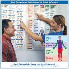 Trigger Point Charts 5 Chart Set Kent Health Systems