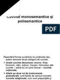 Cuvinte Monosemantice Si Polisemantice 1