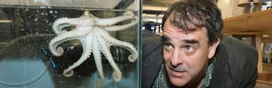 MBL Lab is Funded to Study Temperature Acclimation in Cephalopods by RNA  Editing