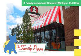 The family puppy has been finding the perfect pet for your family for over 40 years! Dogs Puppies For Sale In Troy Michigan The Family Puppy