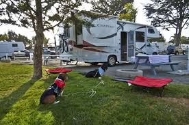 Maybe you would like to learn more about one of these? Pin On Travel Campsites