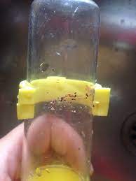 kus biti mi tahta biti mi muhabbet kusu forumu muhabbetkusu com tr