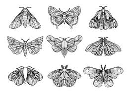 Diese vorlage im großen format zum drucken herunterladen. 14 797 Schmetterling Tattoo Lizenzfreie Bilder Und Fotos Kaufen 123rf
