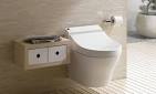 Best wall hung toilet reviews 20- The Toilet Throne
