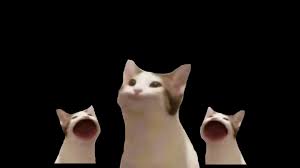 Catjam is a betterttv custom twitch emote of a white cat rhythmically bobbing its head as if to the beat of a song. My First Attempt At A Pop Cat Meme Popcat