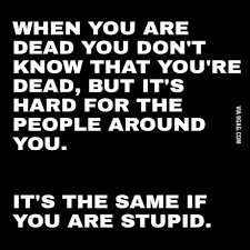 Being Dead Is Like Being Stupid 9gag