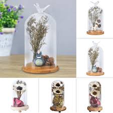 12 pieces welcome to order!. Diy Real Dried Flower Petals In Glass Dome Preserved Flower Wedding Arrangements Centerpieces Gift For Girls Wish