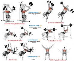 Full Chest Workout Chart Sport1stfuture Org