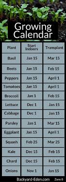 How To Succeed With Your Own Organic Garden In 2020 Starting Vegetable Seeds