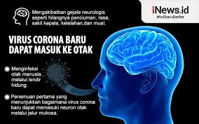 Penelitian mencoba untuk mencari tahu perbedaan gejala dari jenis mutasi covid b117 dengan yang terdahulu, di mana menurut para pasien yang terinveksi varian baru mutasi covid b117. Ridwan Kamil Sebut Varian Baru Covid 19 Tak Perlu Dikhawatirkan Ini Alasannya Bagian 1