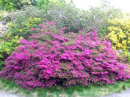 Ostseeheilbad Graal Muritz Ferienwohnung Fur Ihren Ostsee Familienurlaub