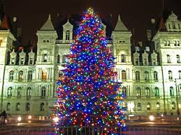 Albany Ny Christmas Tree At Empire State Plaza Christmastree Christmaslights Ny Hotel Albany New York Albany