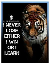  33 Lion Quotes Images Wallpapers Ideas Lion Quotes Lioness Quotes Lion King Quotes