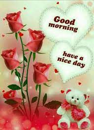 175 Most Romantic Good Morning Couple Images Free Download Good Morning In the cold morning, the flower rangoli was decorated, with the first ray of dawn, missed you as soon as your eyes opened, so it was a good start to the day!