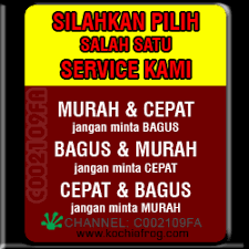 13 year old beautiful girls / 17 295 beautiful 13. Kumpulan Gambar Dan Foto Gerak Lucu Dp Bbm Gif Terbaru 2019 Kochie Frog
