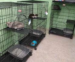 A facility other than an animal shelter where animals not owned by the proprietor are sheltered, harbored, maintained, groomed, fed, or watered in return for a fee is required to obtain a permit from. Best Animal Boarding Services Of Farmers Branch Texas