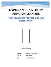 We did not find results for: 3 Mengamati Preparat Bawang Merah Di Bawah Mikroskop Mula Mula Dengan Course Hero