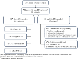 Flow Chart Of Blood Stream Infection Bsi Episodes